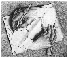 escher2.gif
